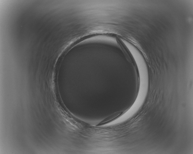 X0000062900387200601271719