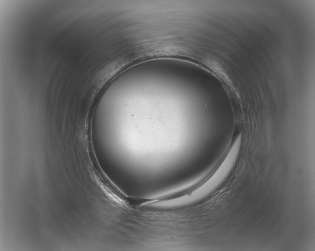 X0000062900389200601271719