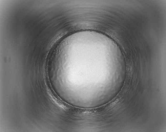 X0000062900390200601271719