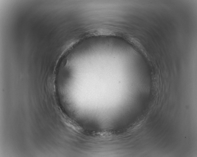 X0000062900395200601271719