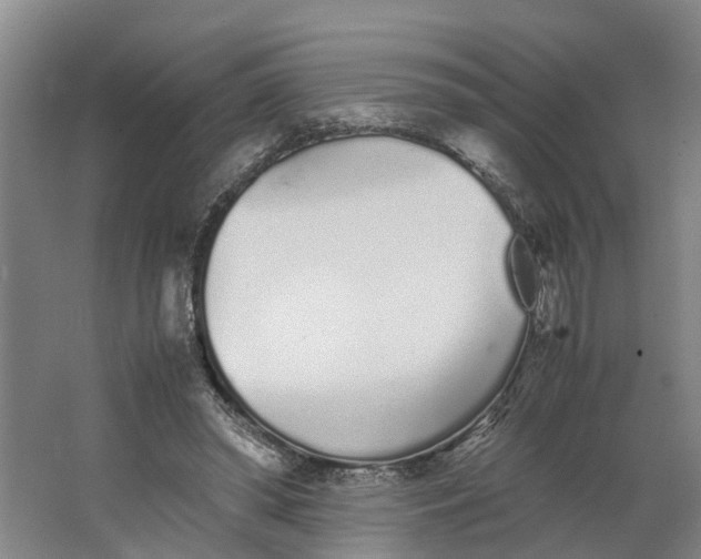 X0000062900398200601271719