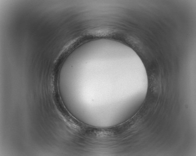 X0000062900400200601271719