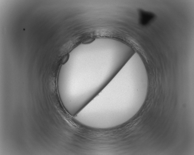 X0000062900401200601271719