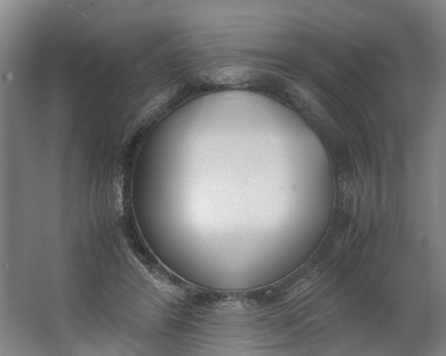 X0000062900404200601271719