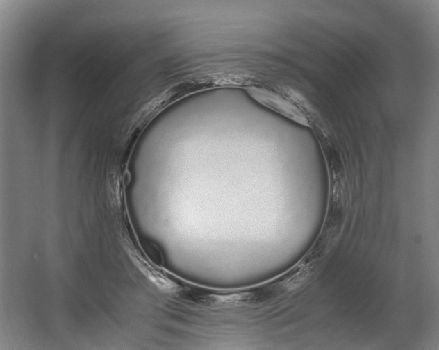 X0000062900405200601271719