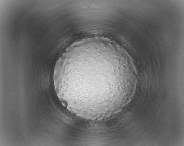 X0000062900406200601271719