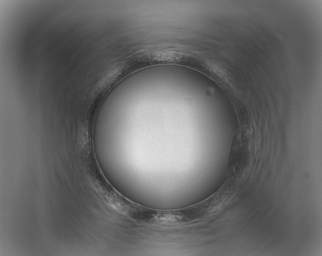 X0000062900407200601271719