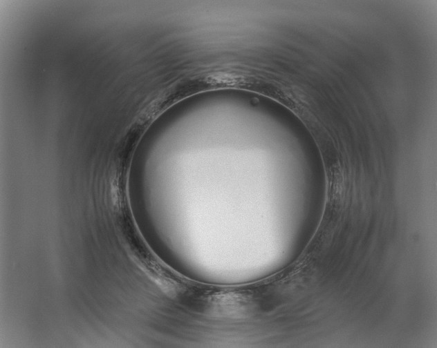 X0000062900408200601271719