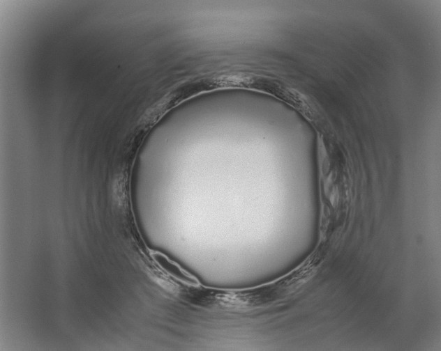 X0000062900409200601271719