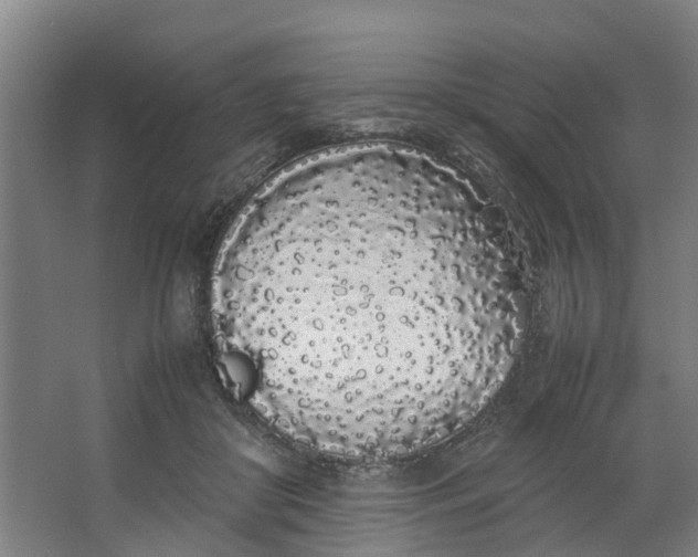 X0000062900410200601271719