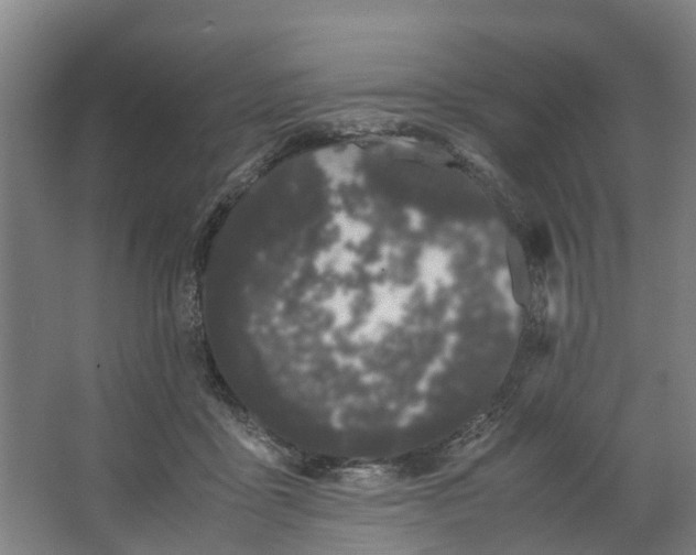 X0000062900411200601271719