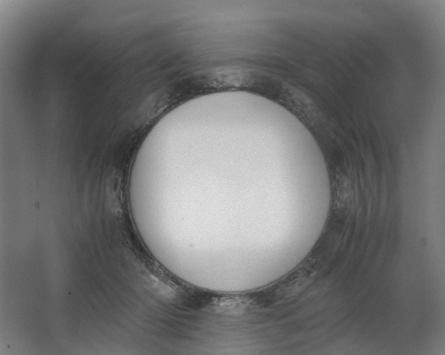 X0000062900414200601271719