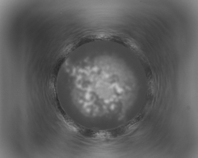 X0000062900415200601271719