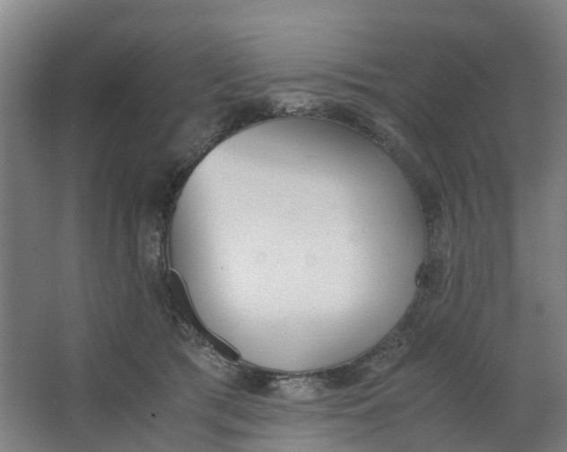 X0000062900417200601271718