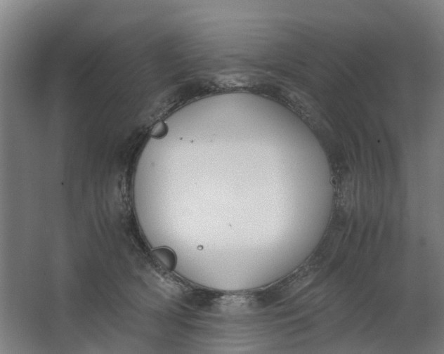 X0000062900418200601271718