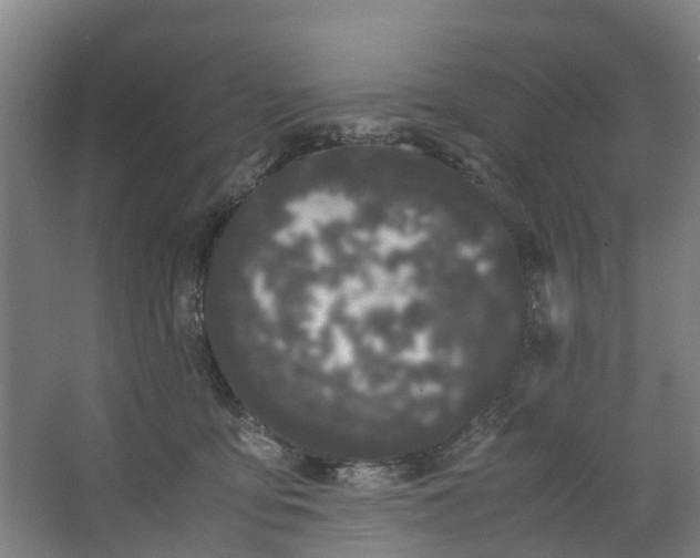 X0000062900419200601271718