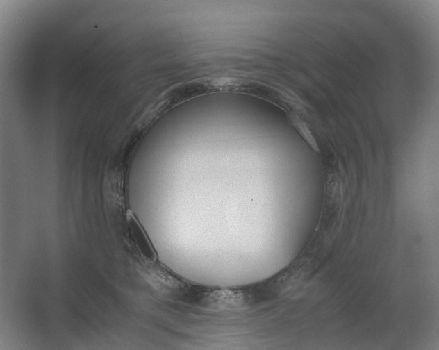 X0000062900421200601271718