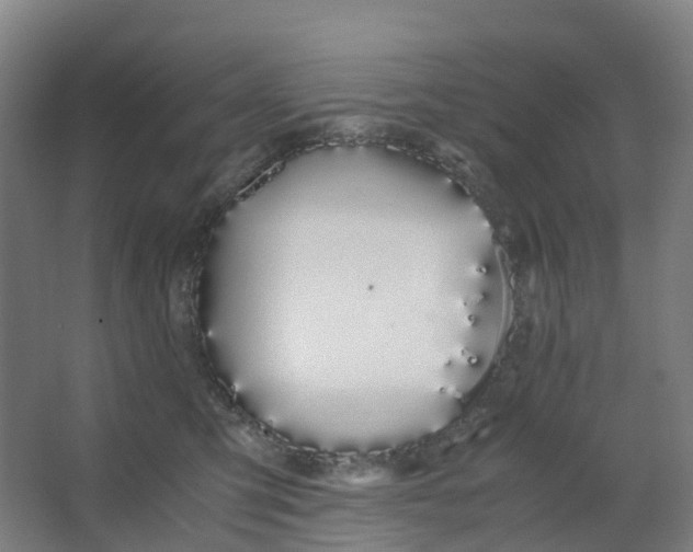 X0000062900423200601271718