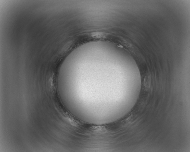 X0000062900424200601271718