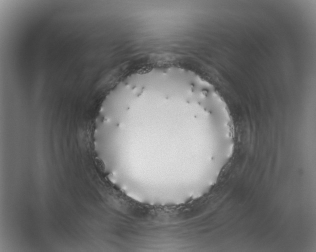 X0000062900427200601271718