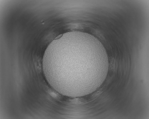 X0000062900430200601271718