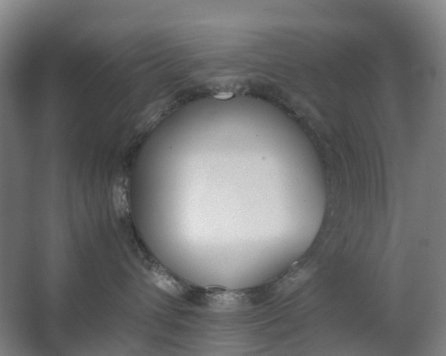 X0000062900432200601271718