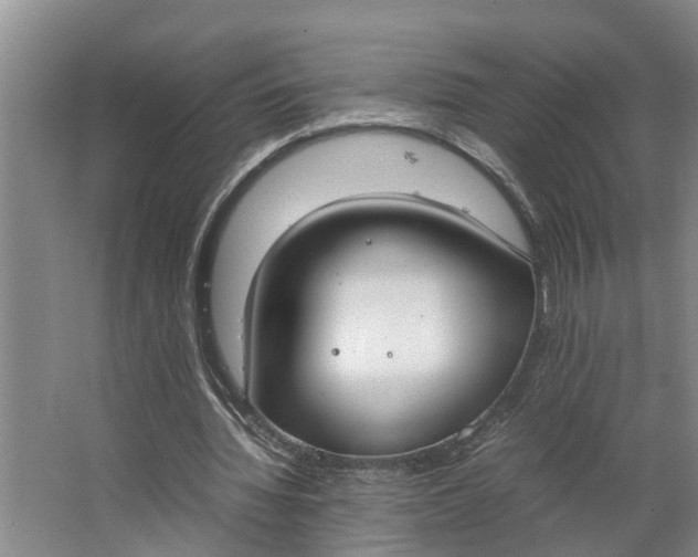 X0000062900436200601271717