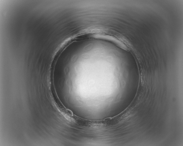 X0000062900438200601271718