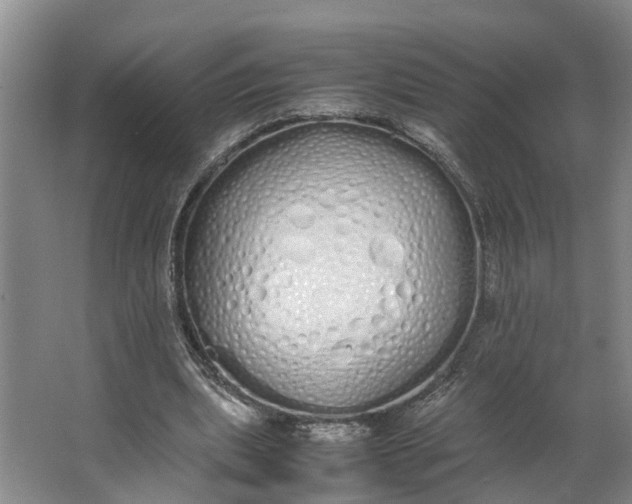 X0000062900439200601271718