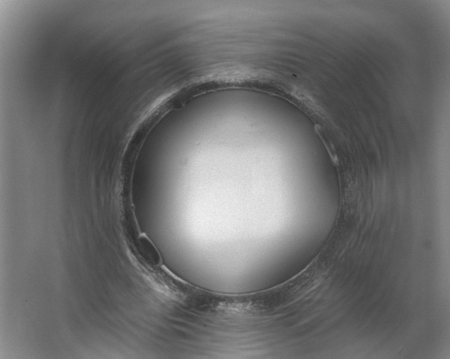 X0000062900440200601271718