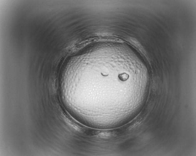 X0000062900441200601271718