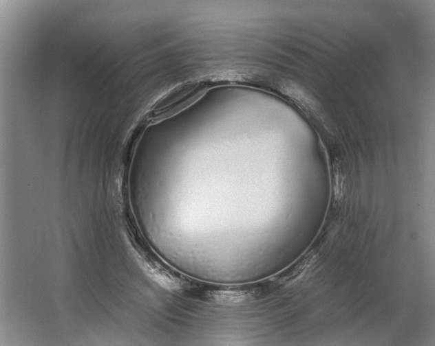 X0000062900444200601271718