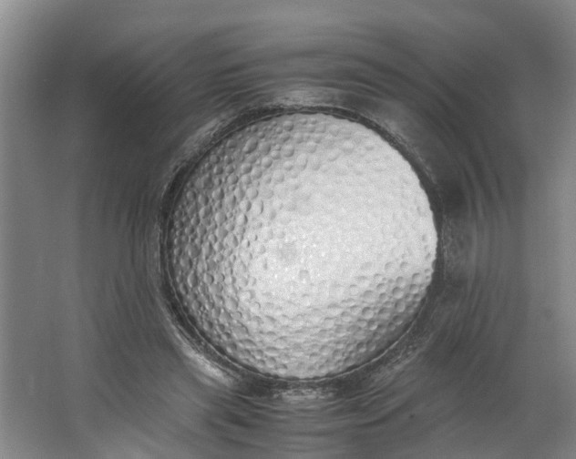 X0000062900445200601271718