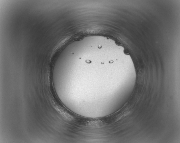 X0000062900446200601271718