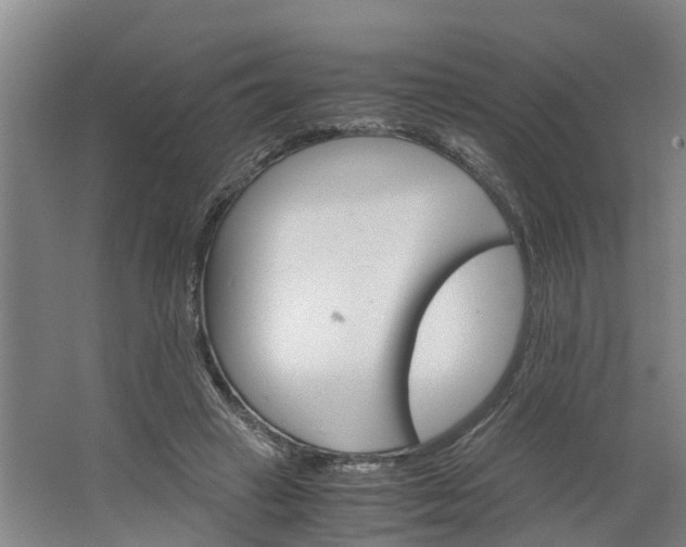 X0000062900449200601271718