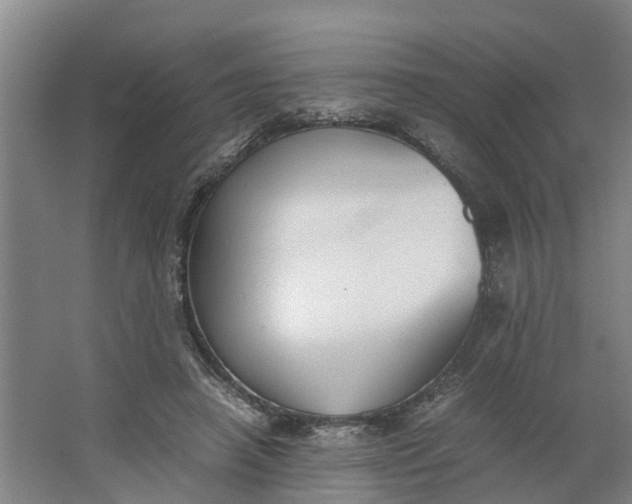 X0000062900450200601271718