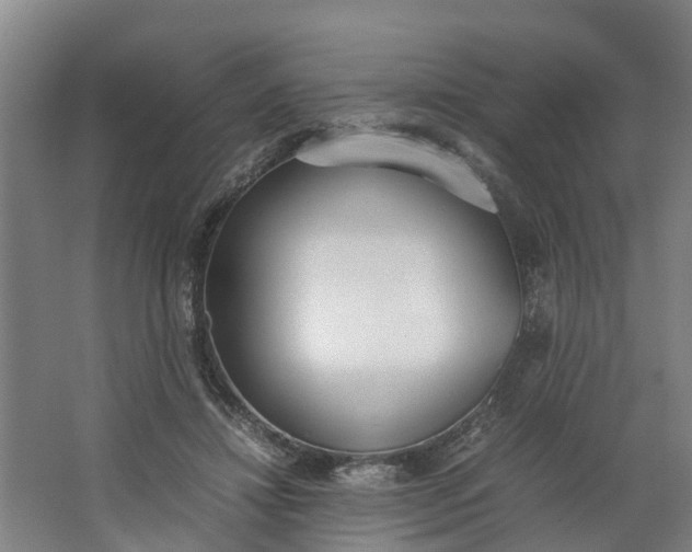 X0000062900452200601271718