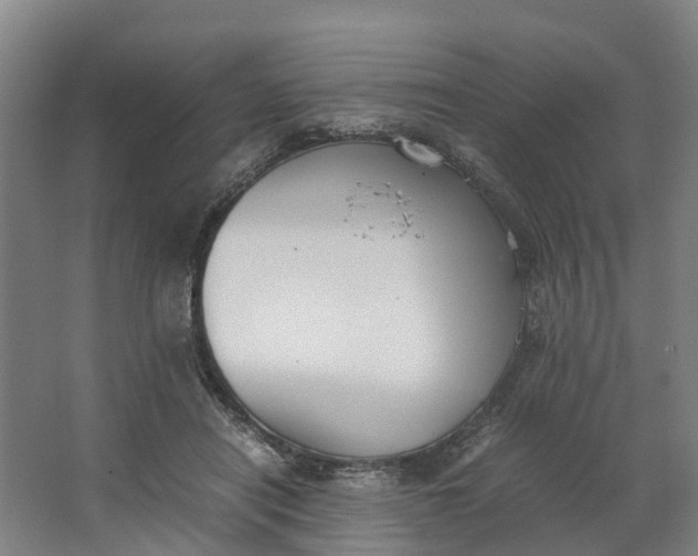 X0000062900454200601271718