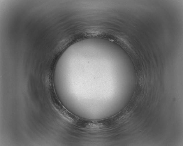 X0000062900455200601271718