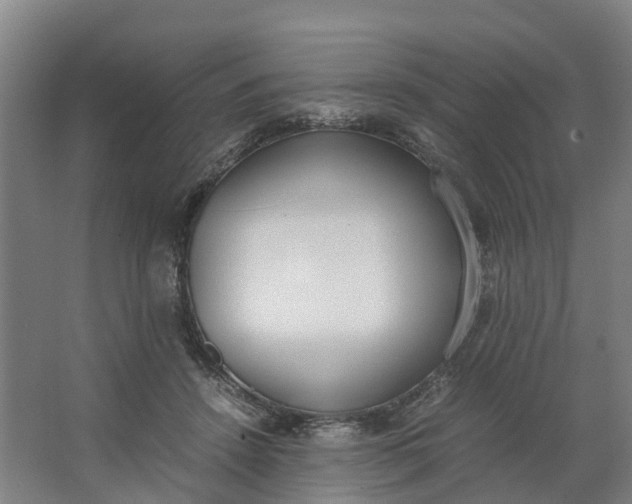 X0000062900456200601271718