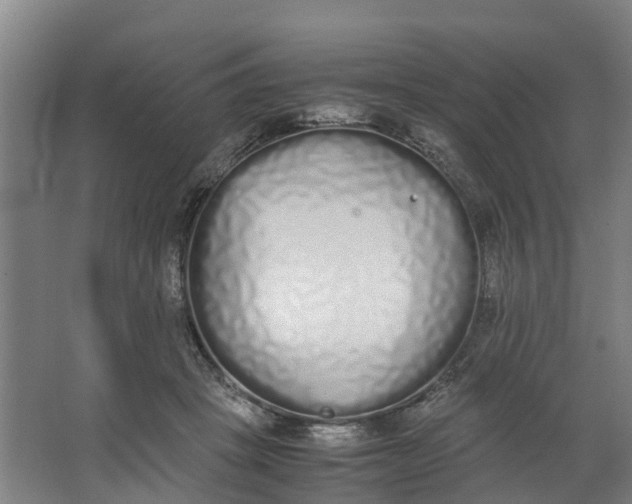 X0000062900457200601271718