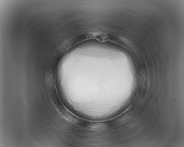 X0000062900459200601271718