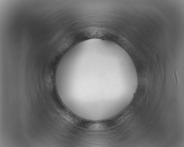 X0000062900460200601271718