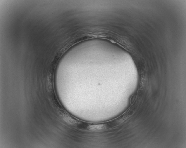 X0000062900461200601271718