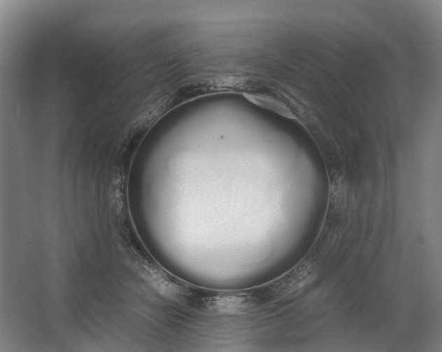 X0000062900462200601271718