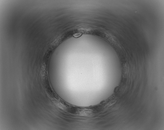 X0000062900463200601271718