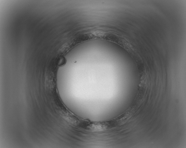 X0000062900464200601271718