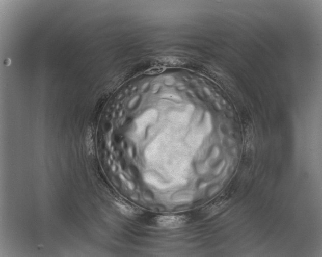 X0000062900465200601271718