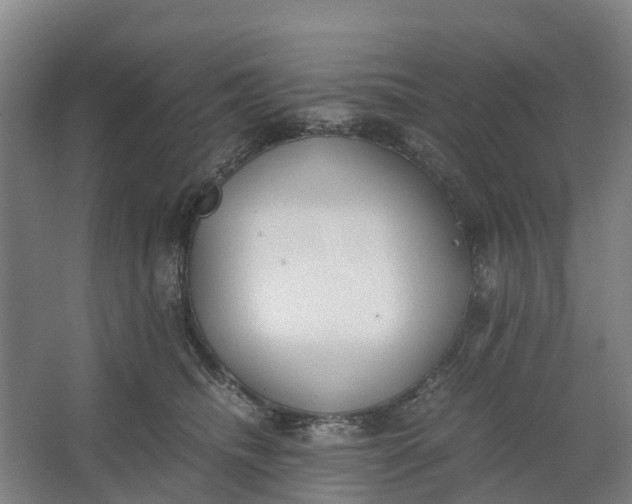 X0000062900468200601271718