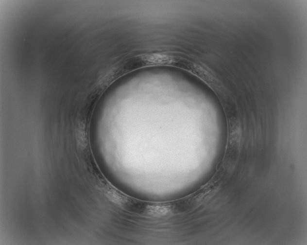 X0000062900469200601271718